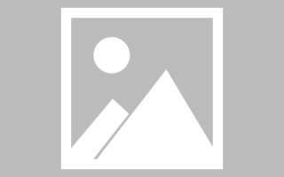 绍兴网页设计英文默认字体（网页设置英文转换中文）
